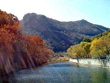 正新澳门二四六天天彩，快餐桌图片